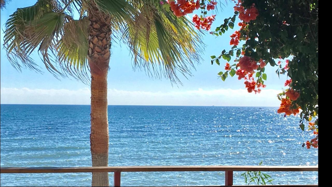 Mi Capricho 4B Beachfront - Apartment With Sea View - Costa Del Sol - Ла Кала де Михас Екстериор снимка